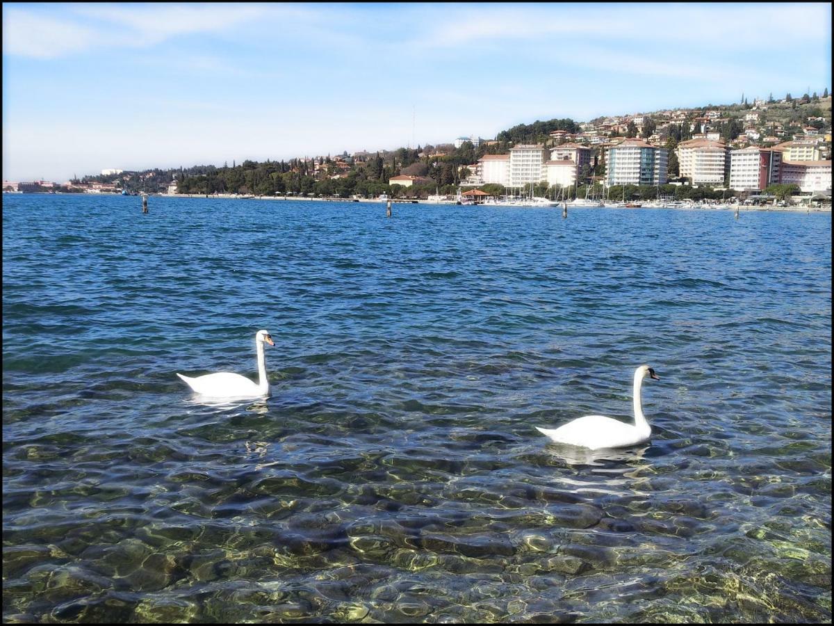 Casa Vacanze Enjoy Pirano Εξωτερικό φωτογραφία